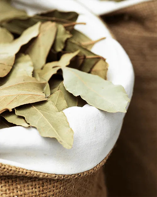 Dekoratives Hintergrundbild mit Blätter